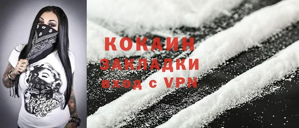 гидра Мегион