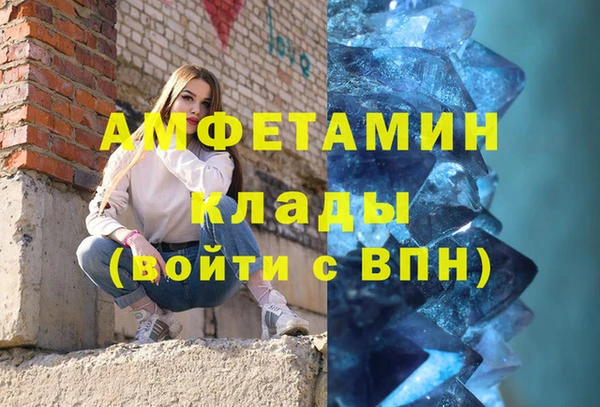 прущие грибы Медвежьегорск