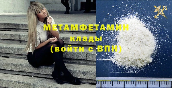 прущие грибы Медвежьегорск