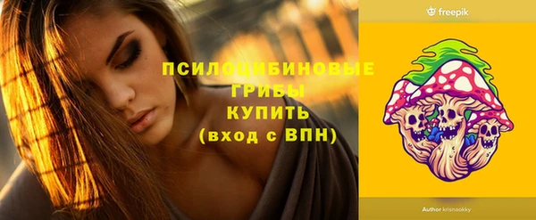 гидра Мегион